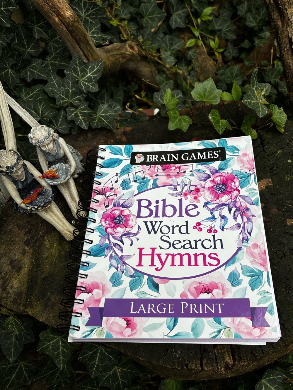 🙏 Bible Word Search Hymns — Floral Pink & Blue Large Print